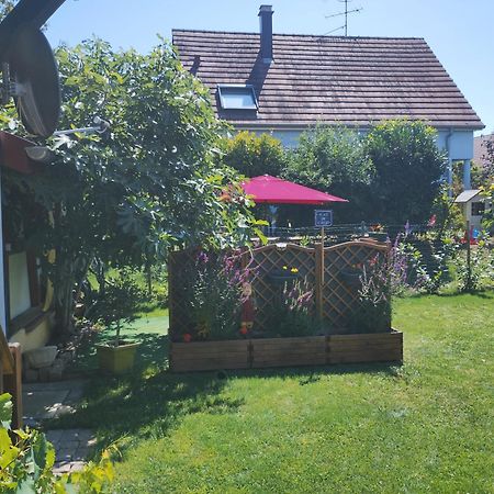 Gite Alsace Appenwihr المظهر الخارجي الصورة