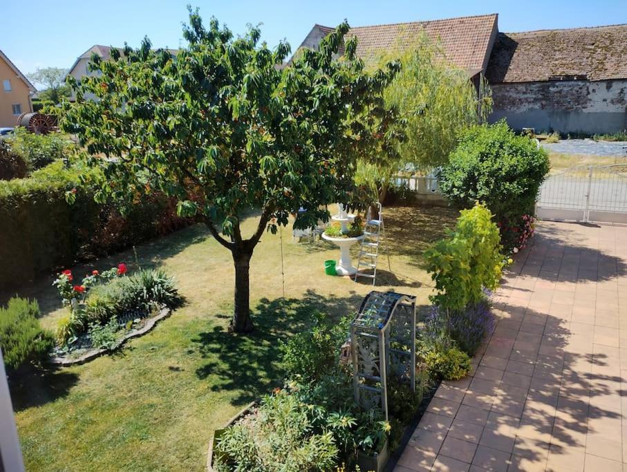 Gite Alsace Appenwihr المظهر الخارجي الصورة
