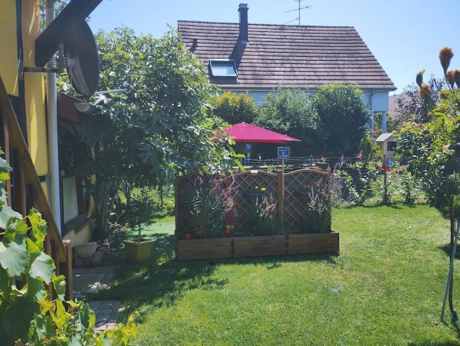 Gite Alsace Appenwihr المظهر الخارجي الصورة
